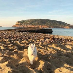 Meet your Posher, Lesley